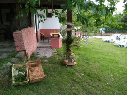IMG_20190714_165737.jpg